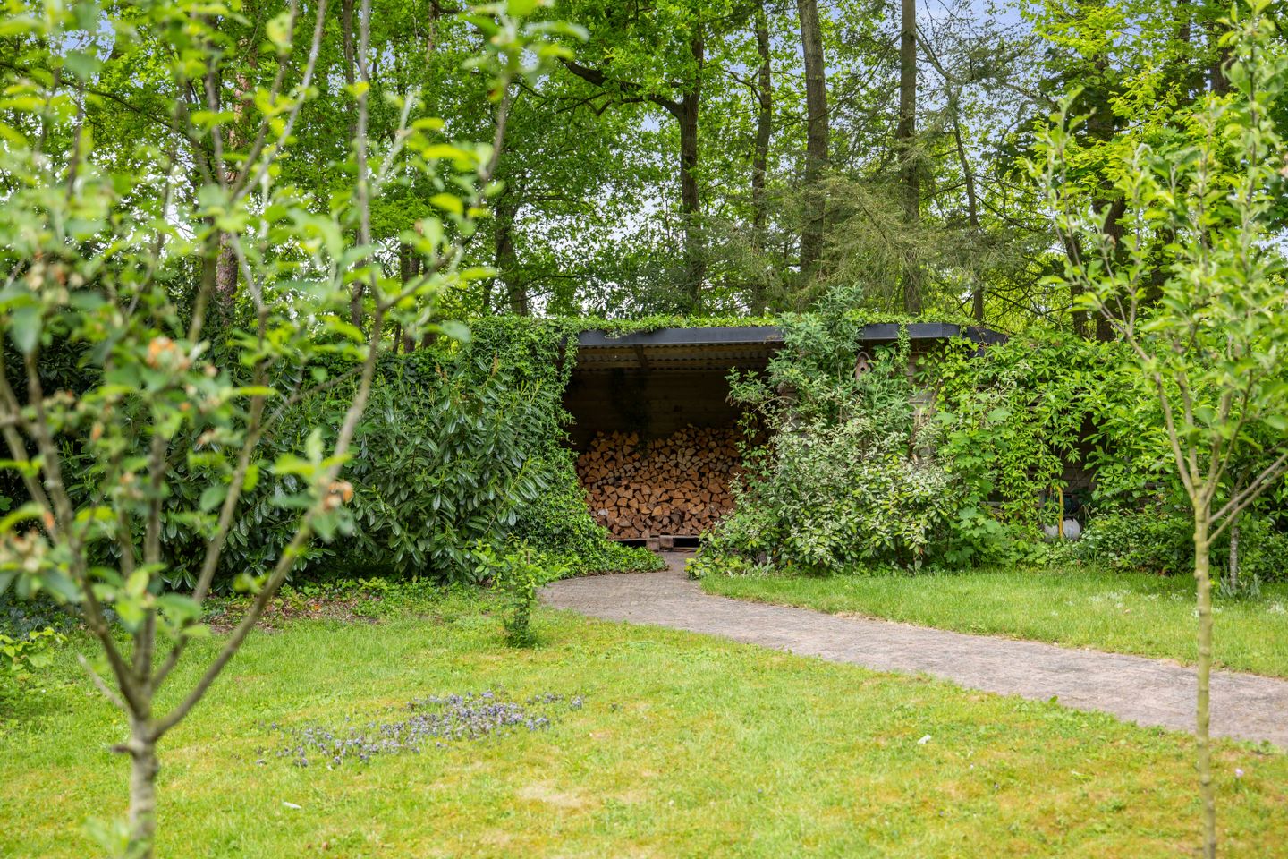 buiten-30.jpg