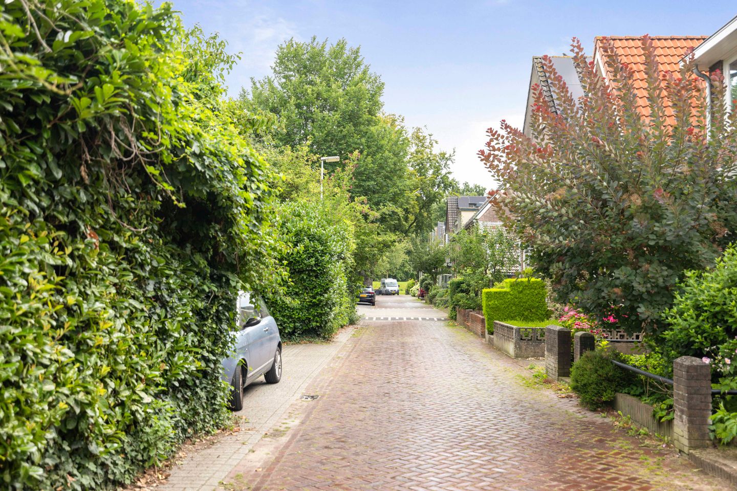 buiten-11.jpg