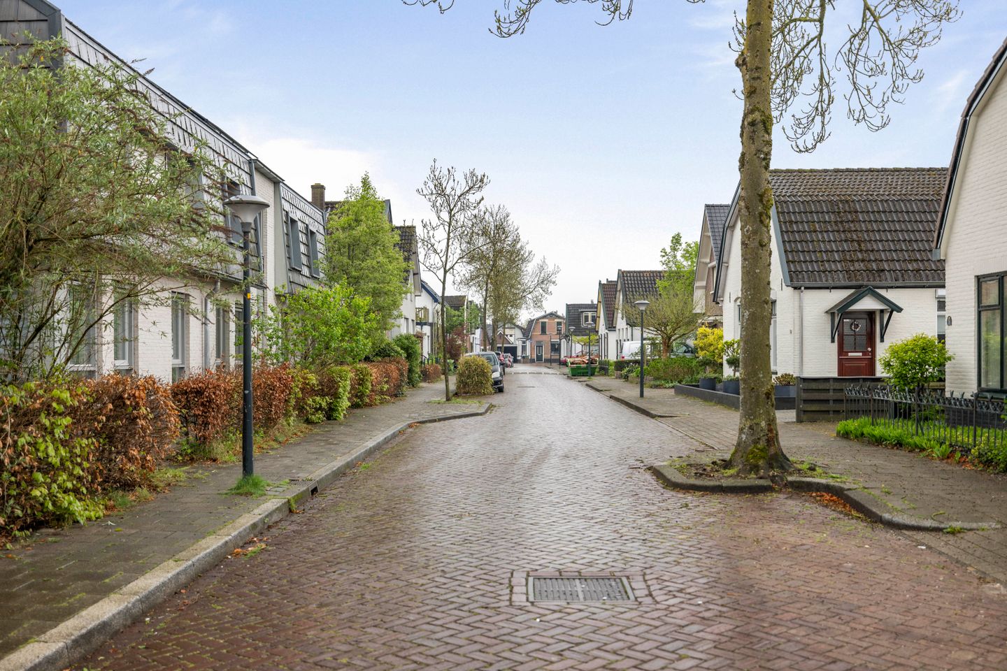 buiten-8.jpg