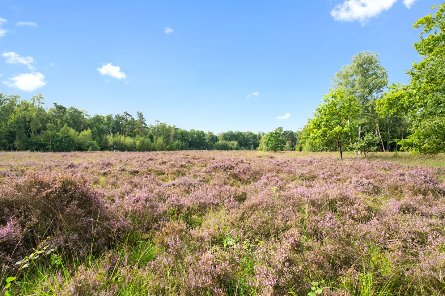Titia Goedhuisstraat 26 Deventer 38.jpg