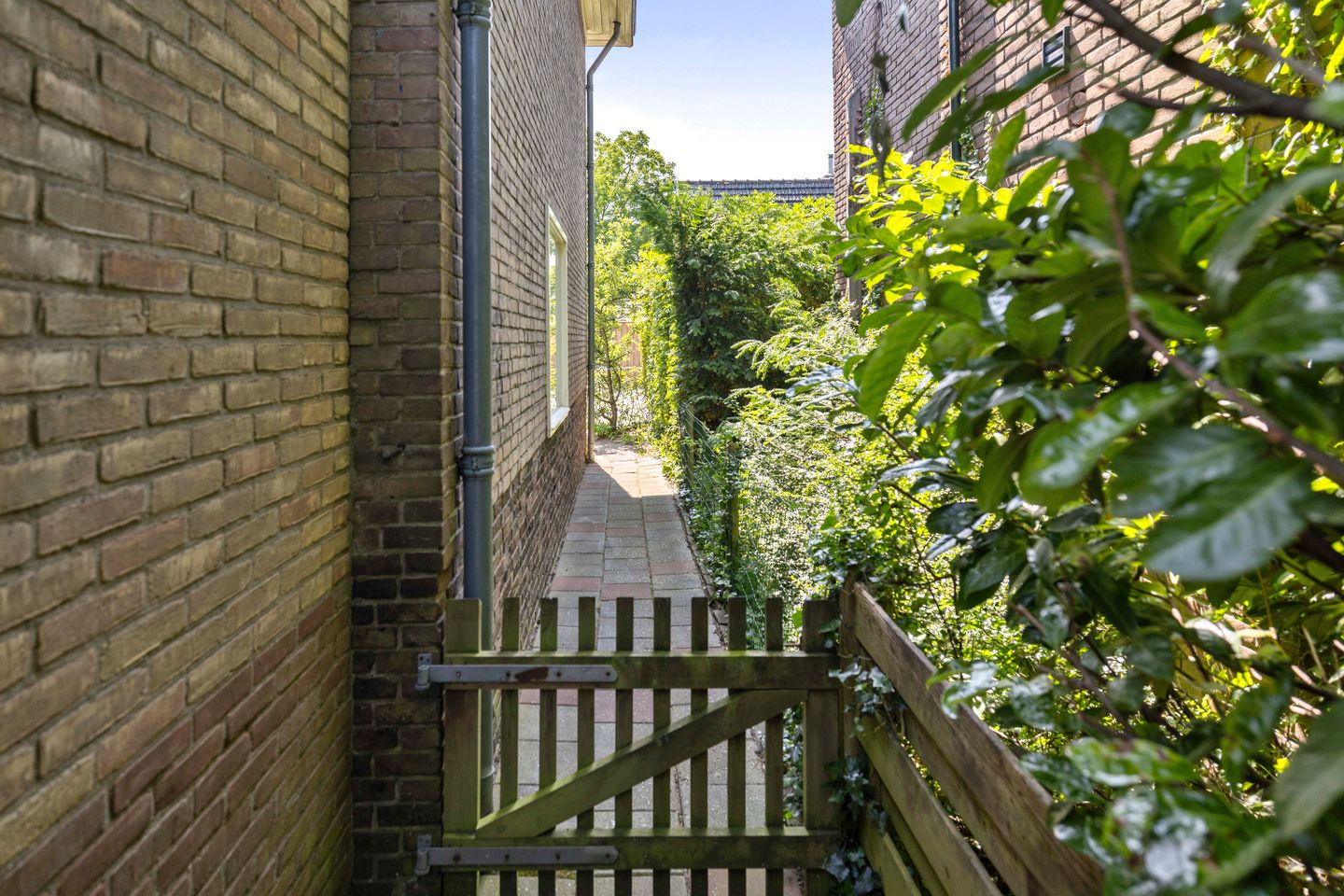 buiten-6.jpg