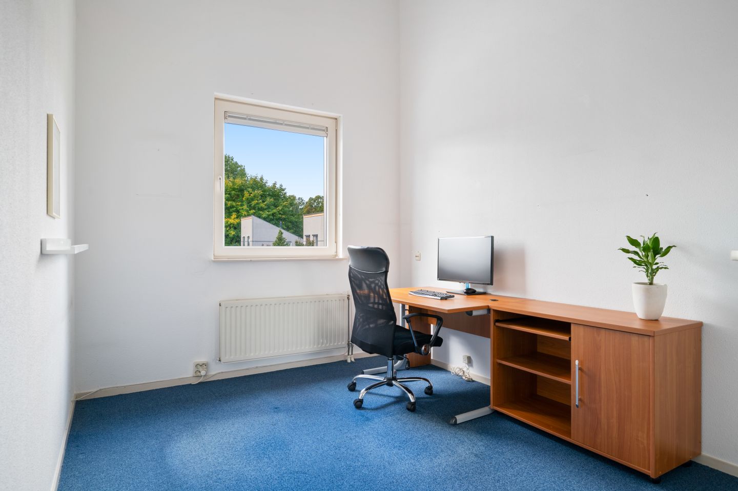 Hermelijn 5 Deventer 37.jpg