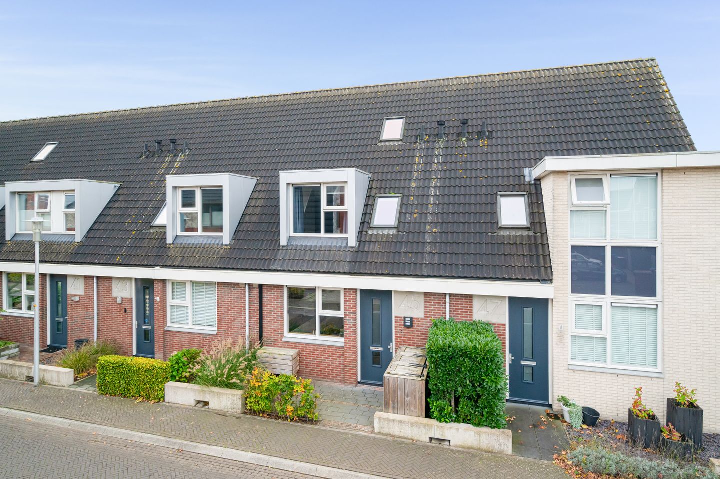 Vliegenzwam 45 Apeldoorn 1b.jpg