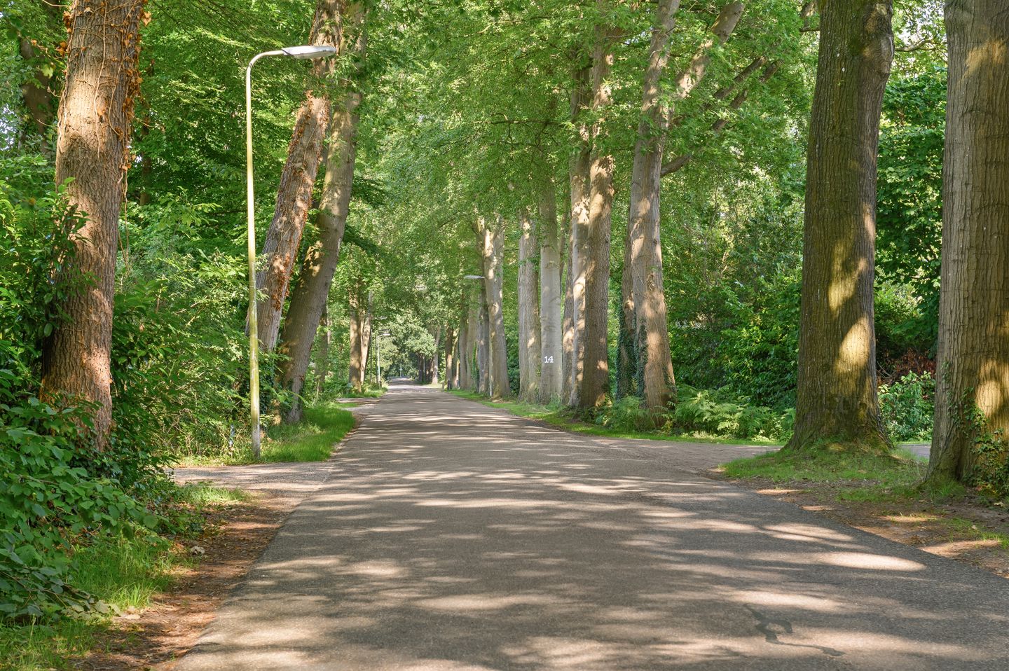 Schuurmansweg 1-D in Diepenveen - foto 54