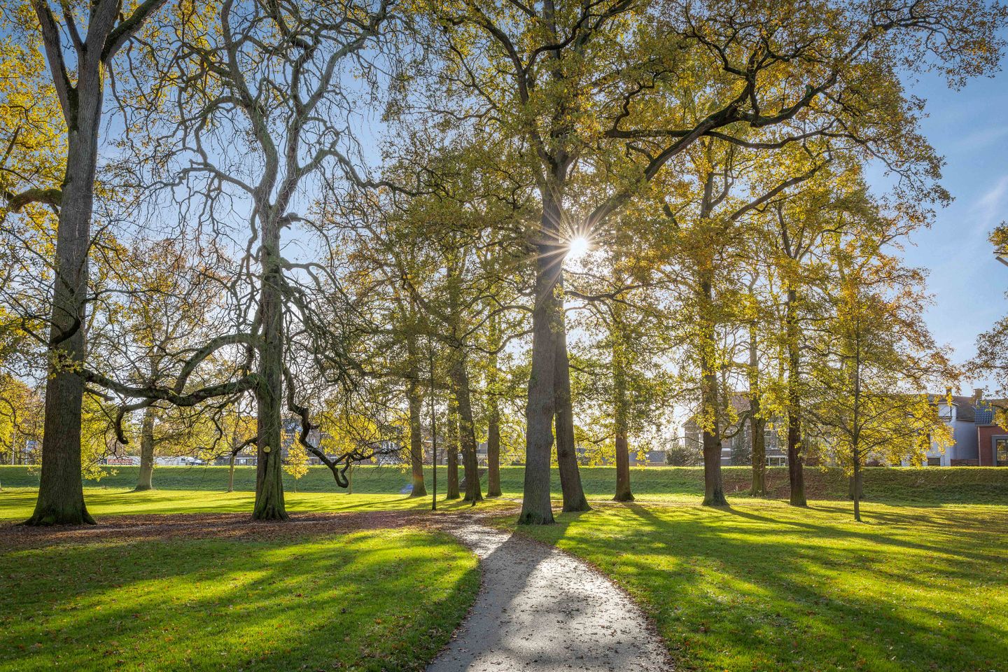 buiten en park met zon-16.jpg