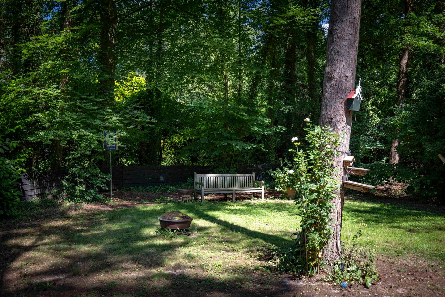 nieuw bos-19.jpg