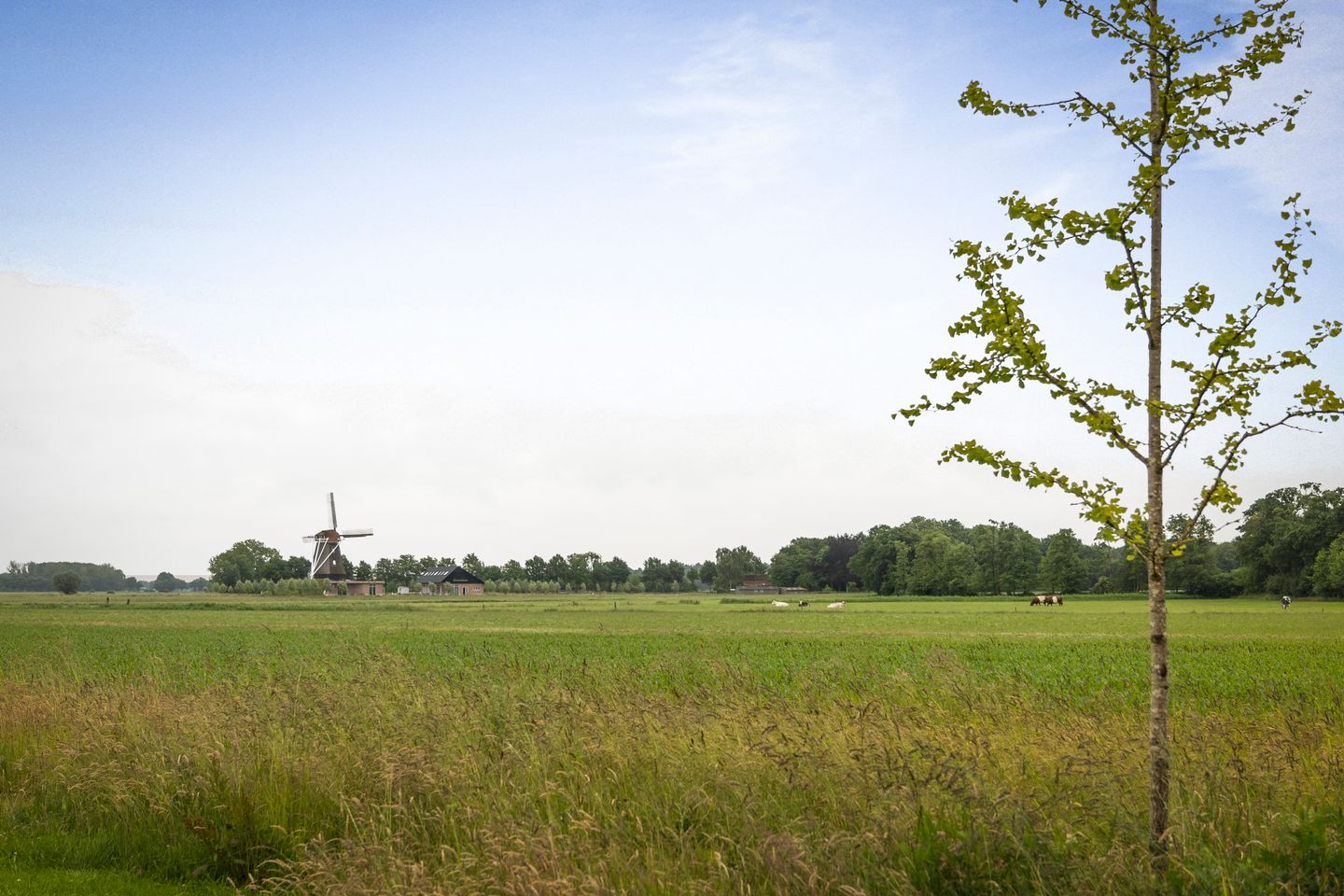 buiten-23.jpg
