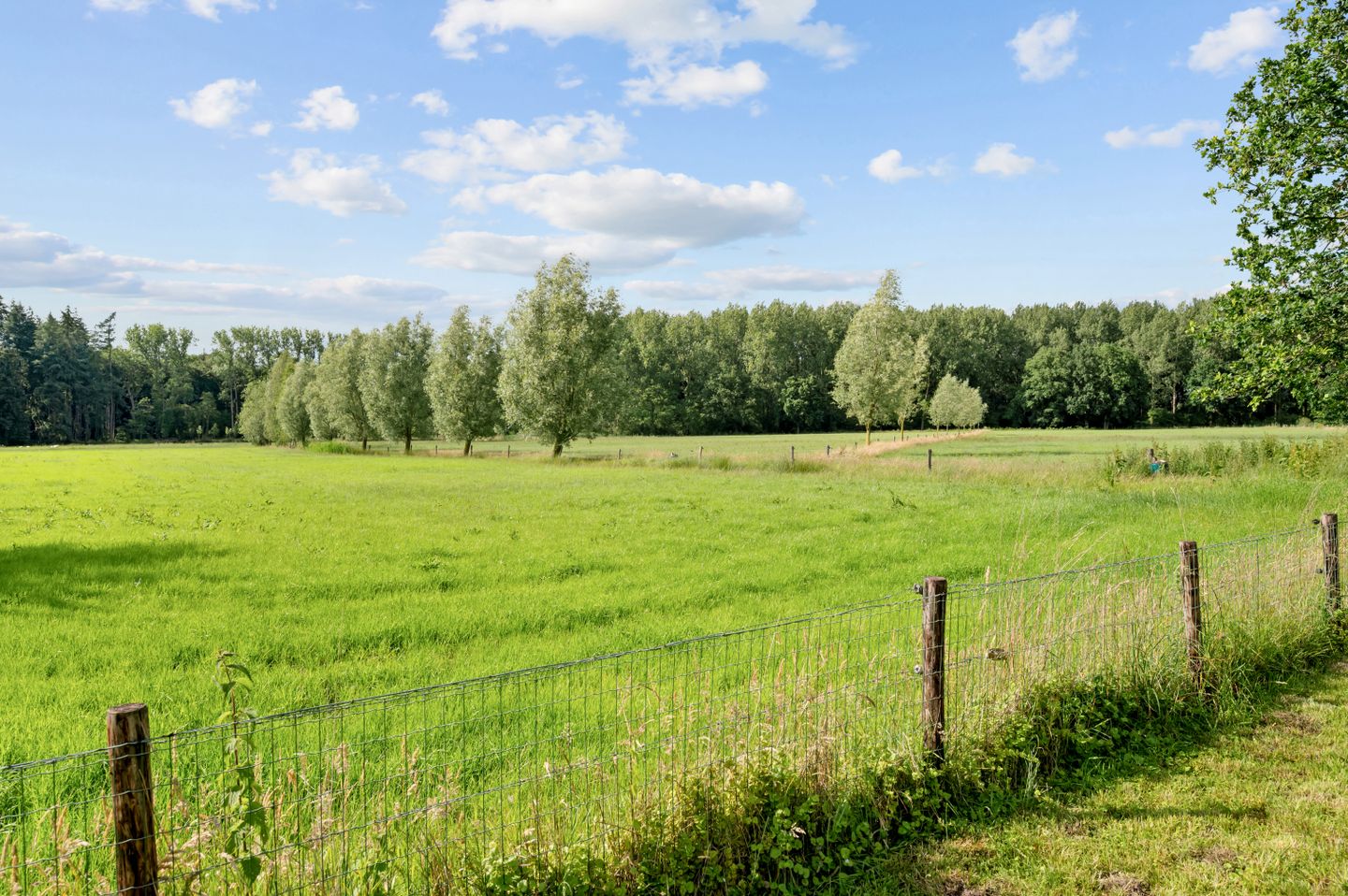 Raalterweg 5 in Wijhe - foto 48