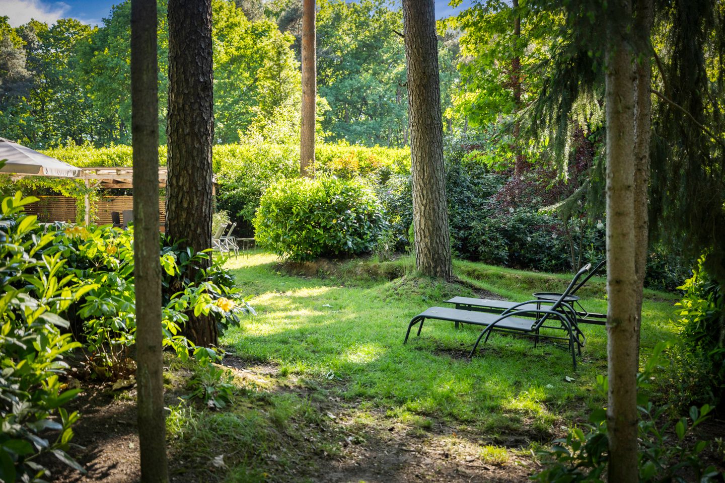 buiten-17.jpg