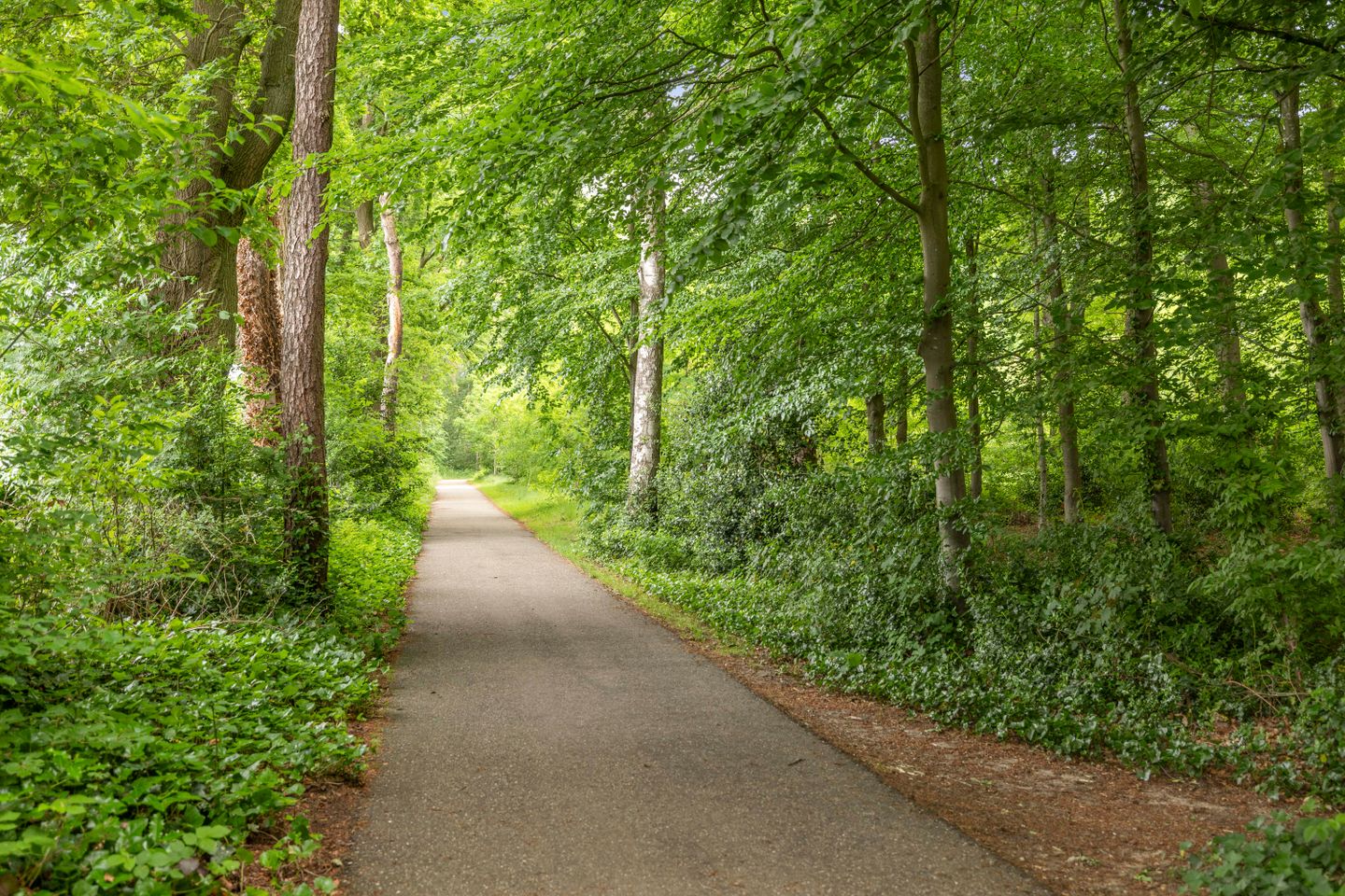 buiten-17.jpg