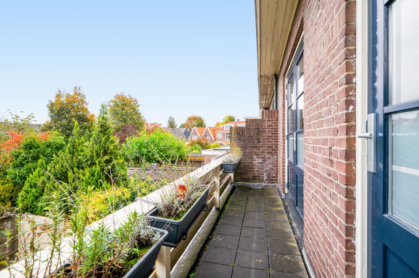 Hoge Hondstraat 21 Deventer 7.jpg