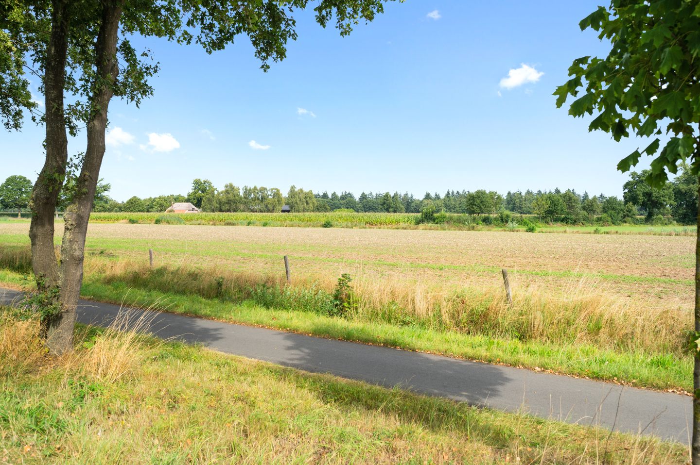 Titia Goedhuisstraat 26 Deventer 39.jpg