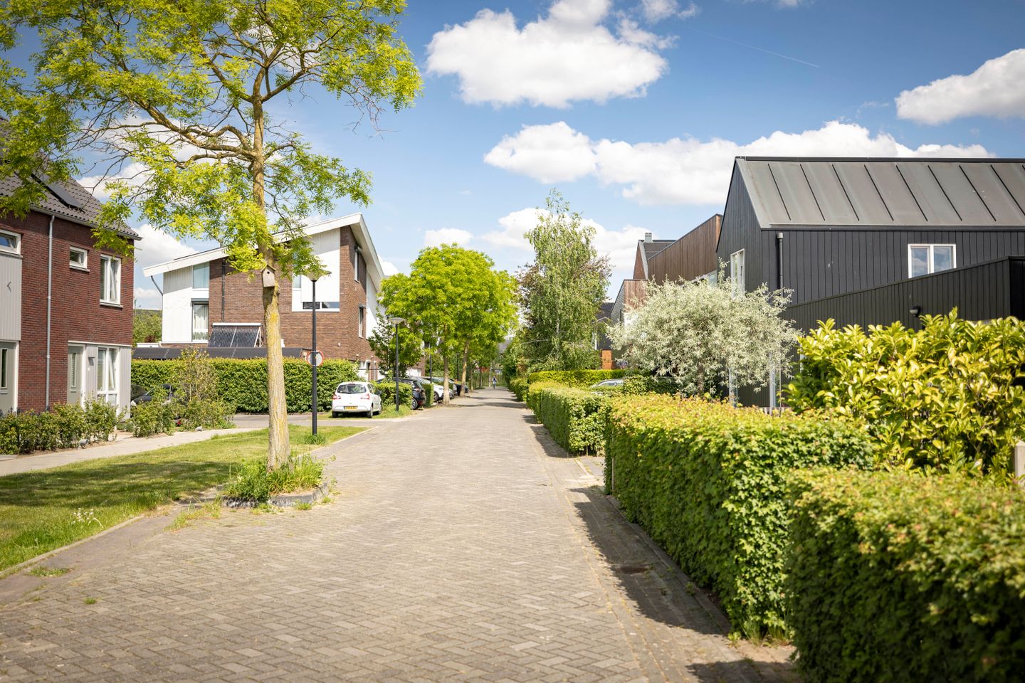buiten_-8.jpg