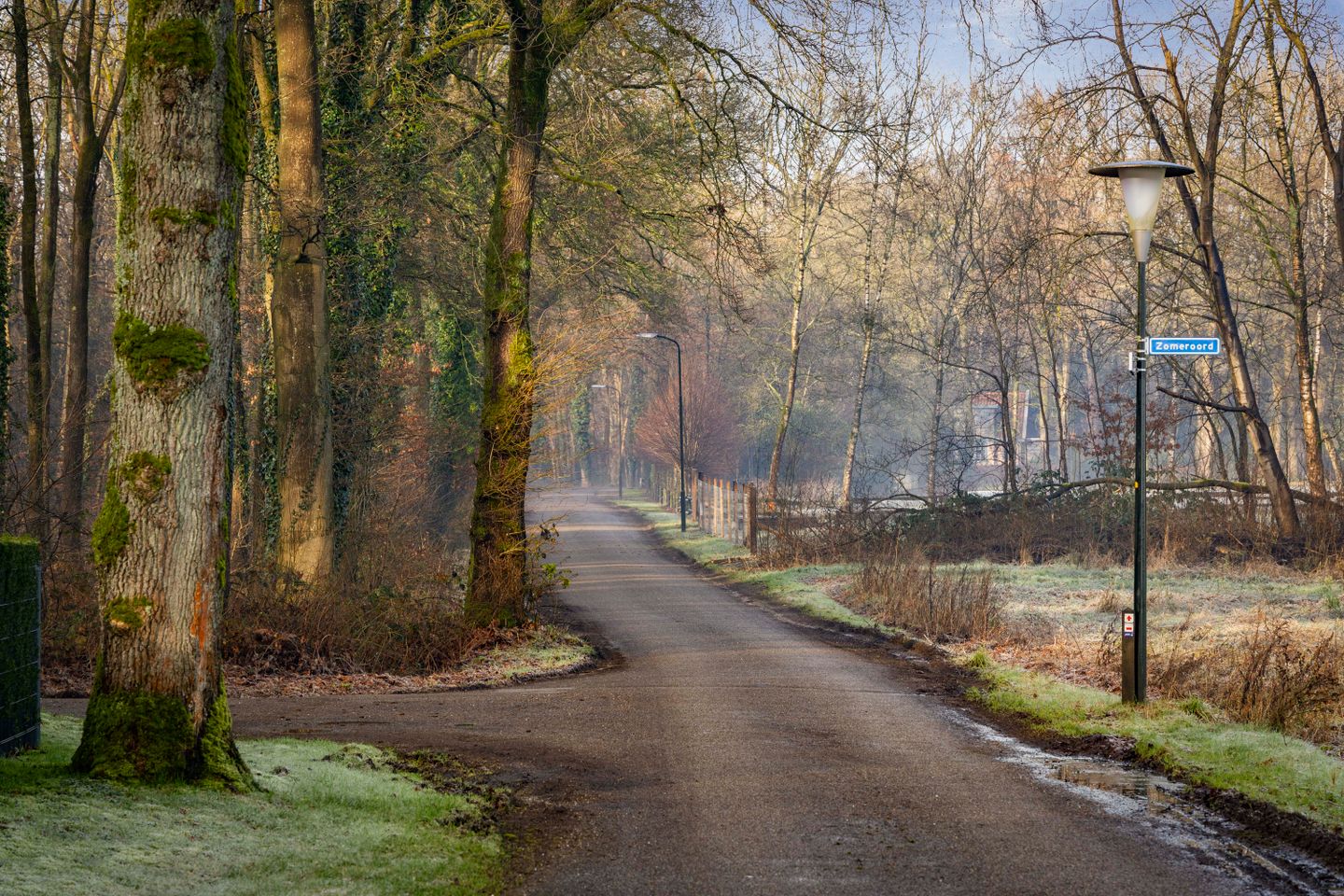 buiten-20.jpg