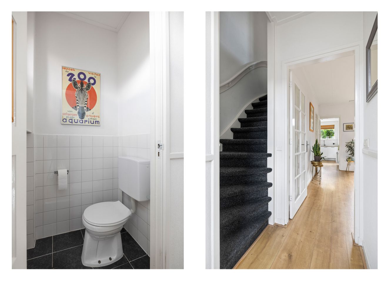 2 luik-2.jpg