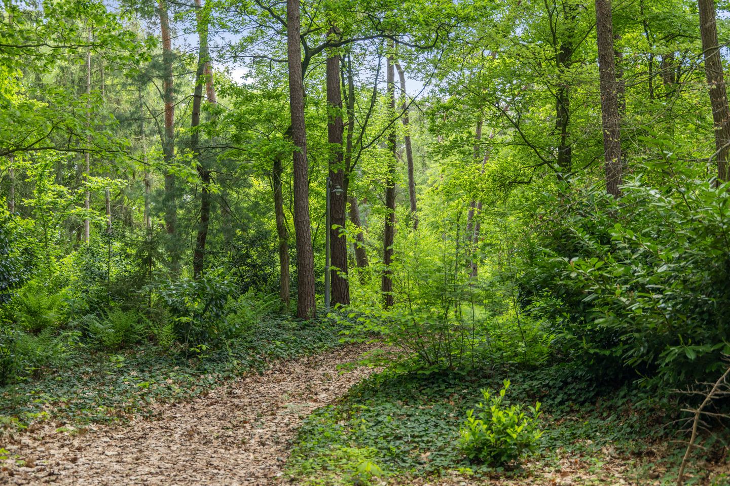 buiten-11.jpg
