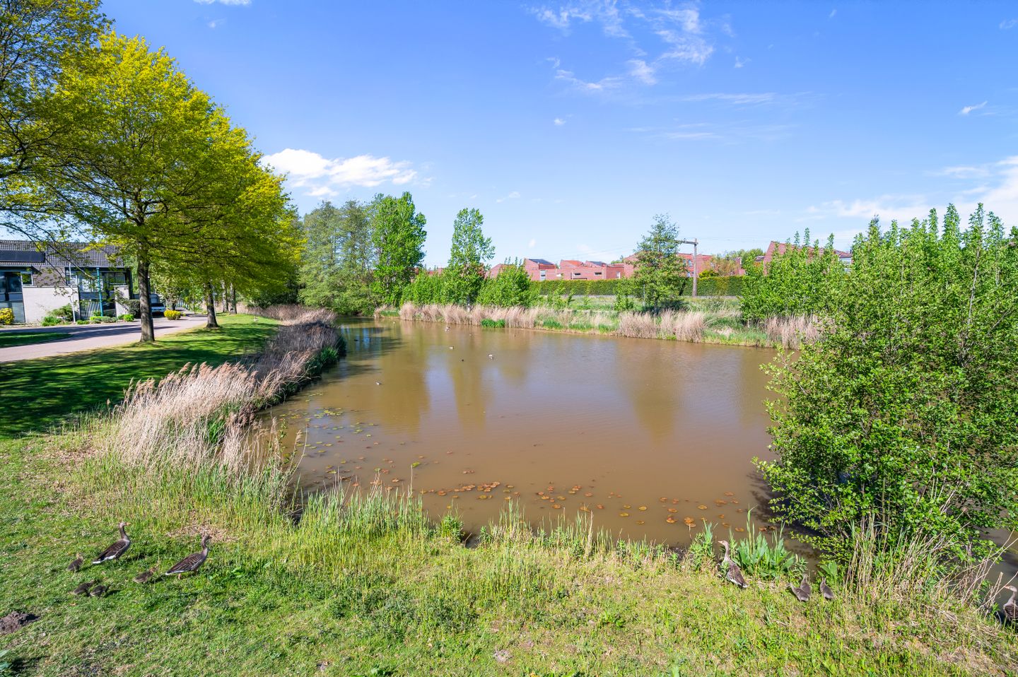 Het Schip 233 in Apeldoorn - foto 41