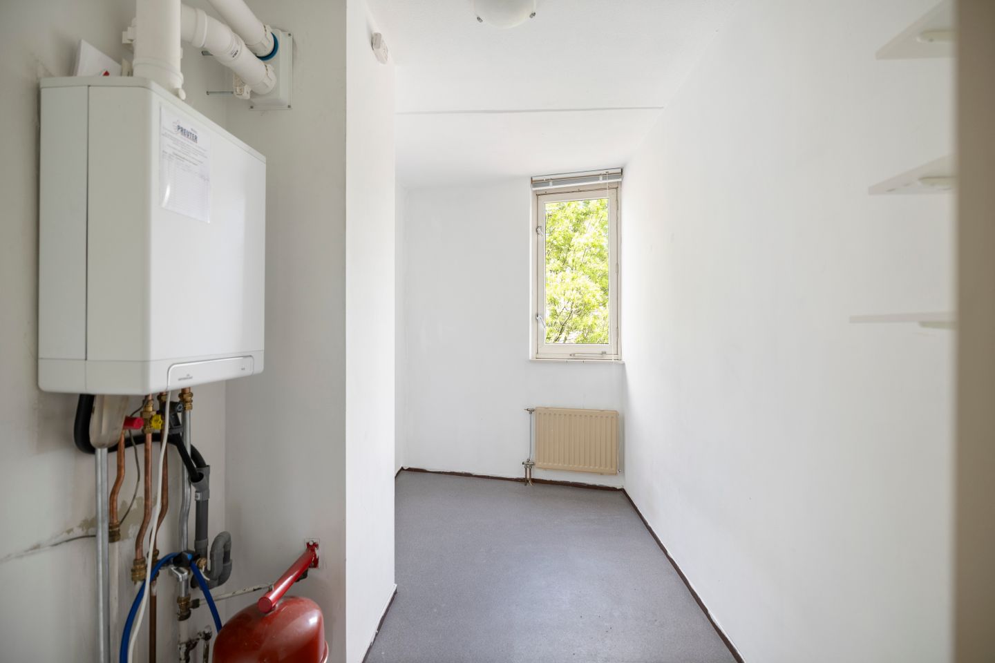 260-10.jpg