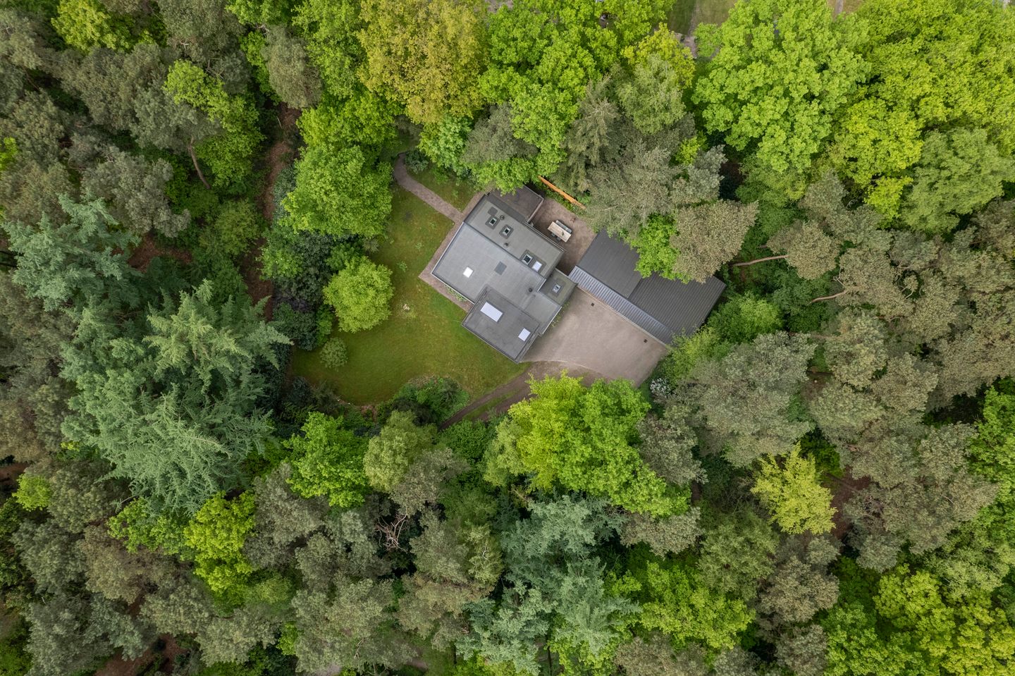 DRone-3.jpg