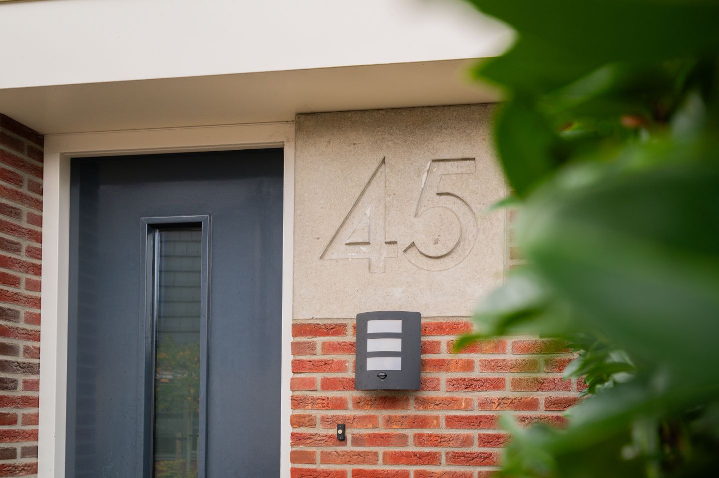 Vliegenzwam 45 Apeldoorn 3a.jpg