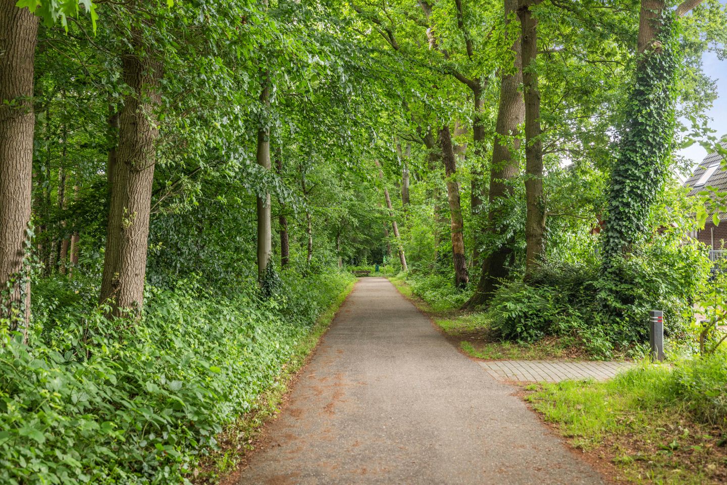 buiten-18.jpg