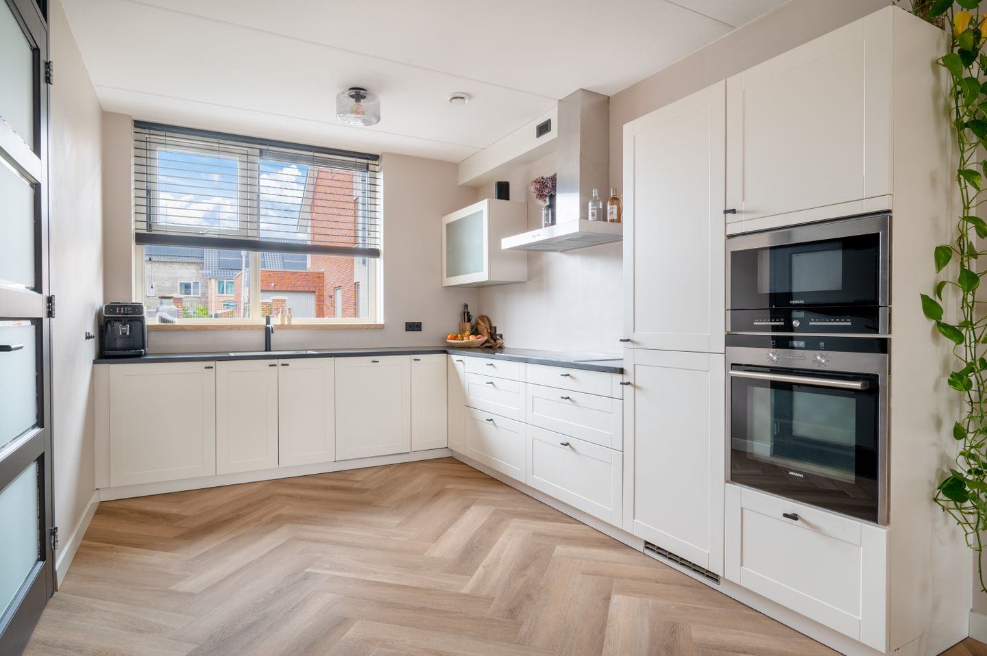 Vliegenzwam 45 Apeldoorn 27-HDR.jpg