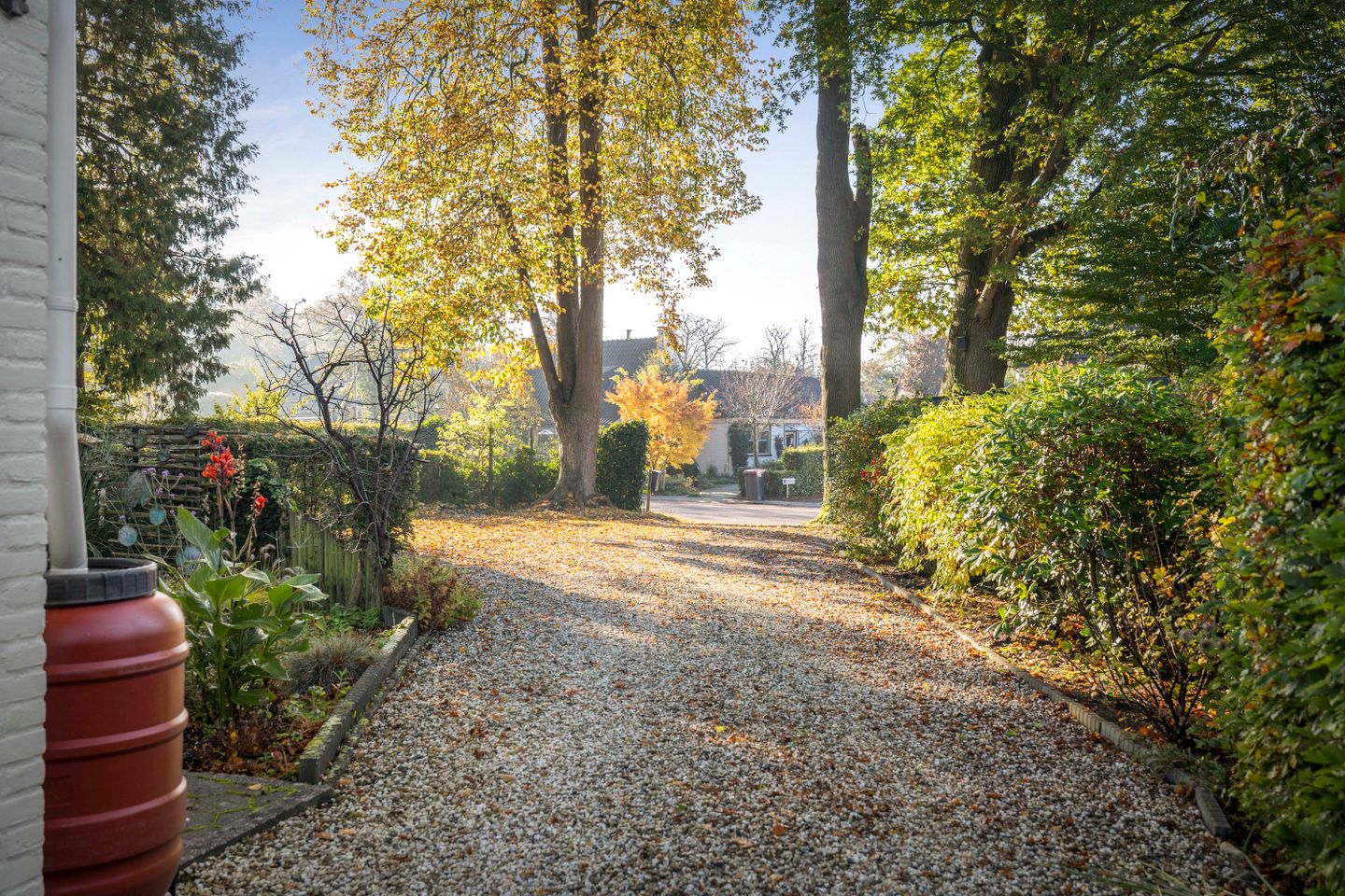 buiten-17.jpg