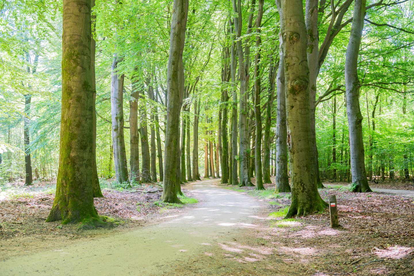 De Oude Klarenbeek 5 in Ugchelen - foto 76