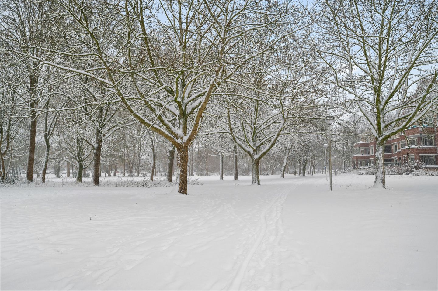 Koningin Wilhelminalaan 81 Deventer 35.jpg