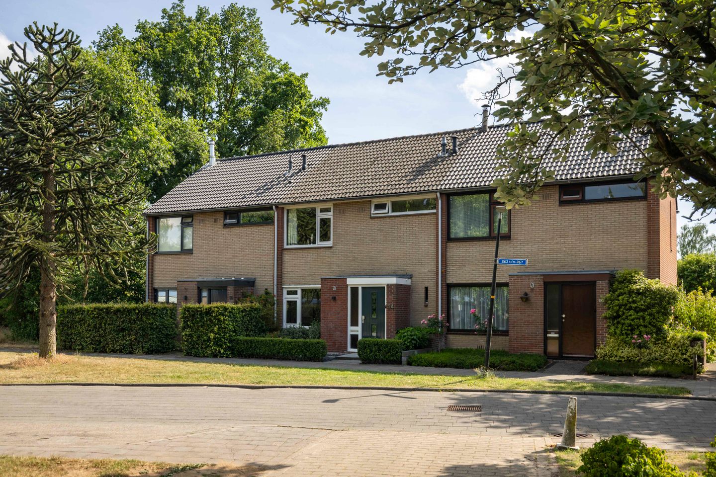 buiten-11.jpg