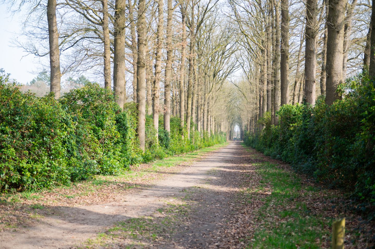 Raalterweg 5 in Wijhe - foto 54