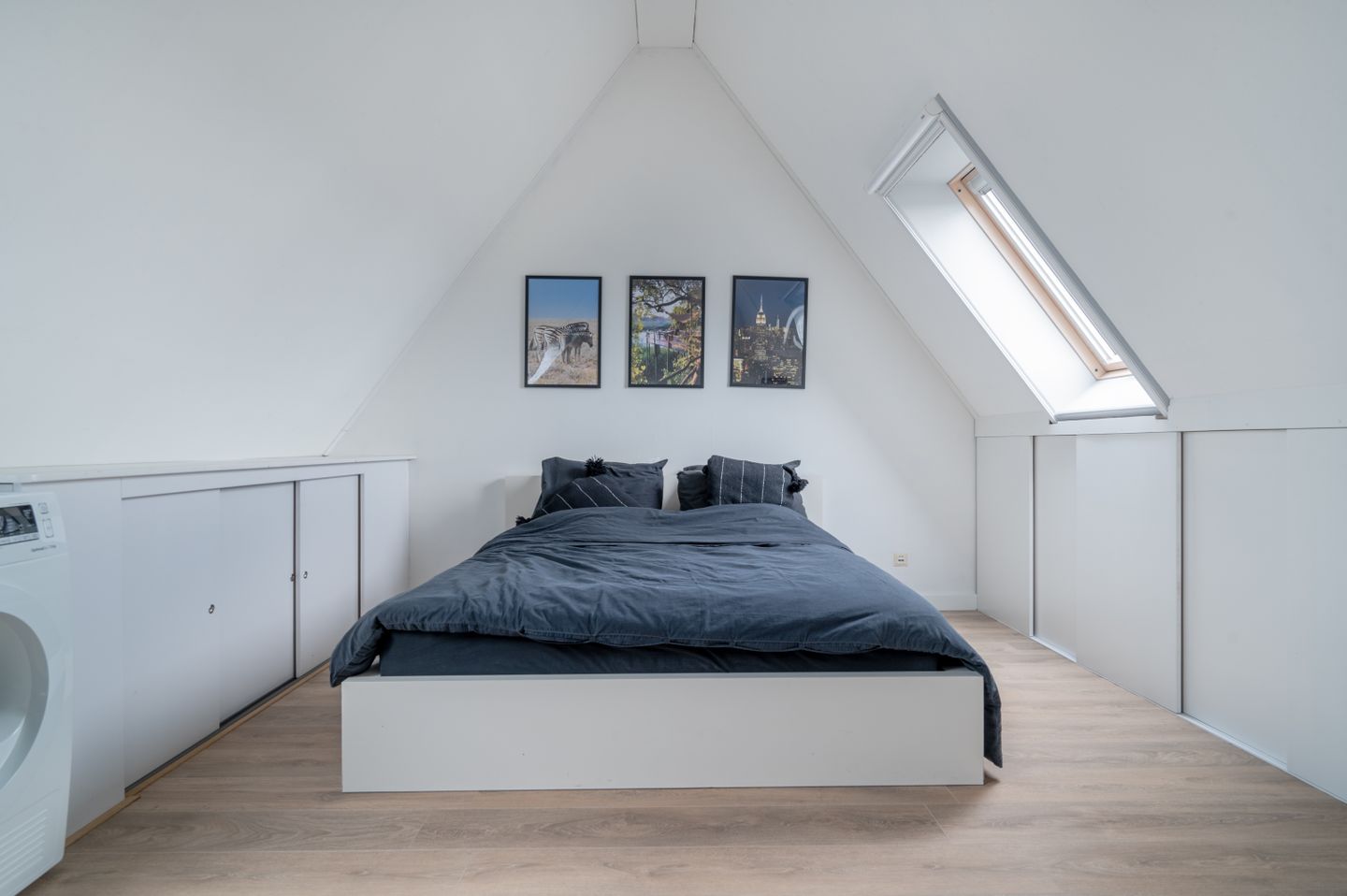 Vliegenzwam 45 Apeldoorn 99-HDR (1).jpg