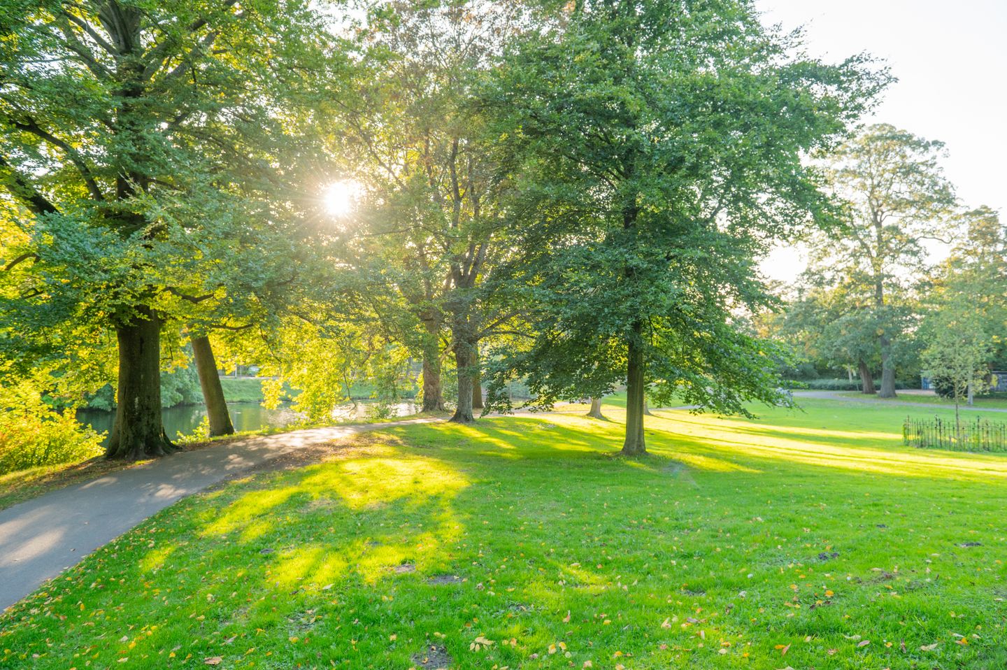 Hoge Hondstraat 21 Deventer 47.jpg