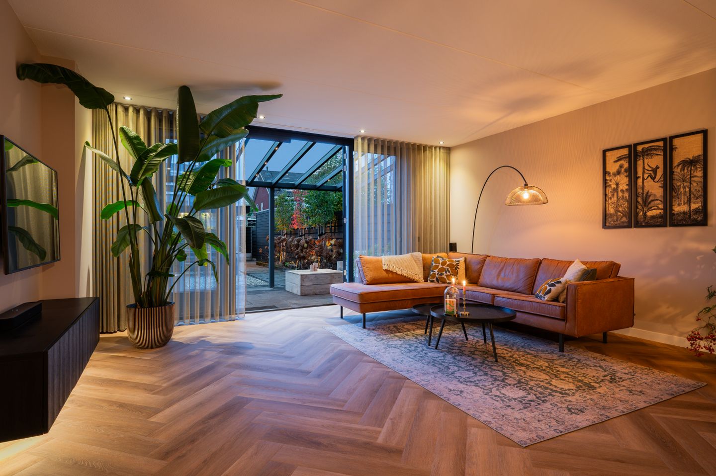 Nacht Vliegenzwam 45 Apeldoorn 2.jpg