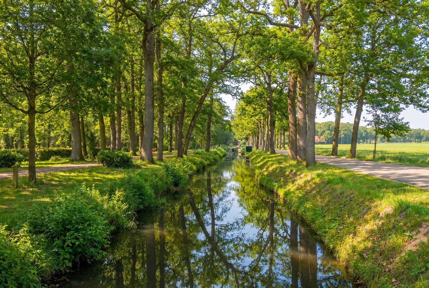 Raalterweg 5 in Wijhe - foto 56