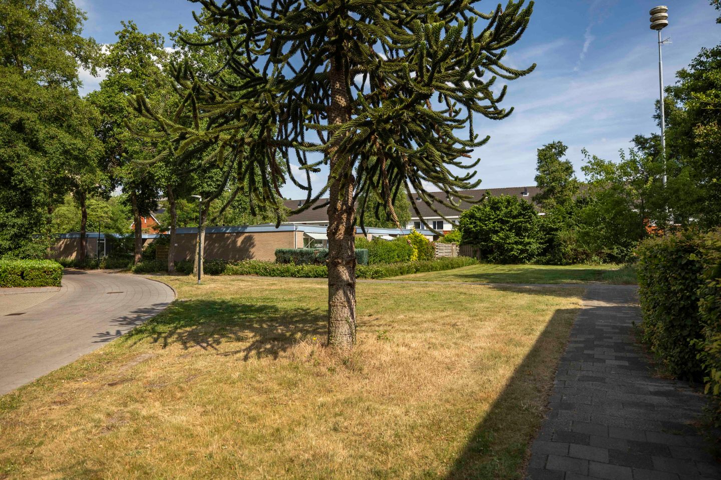buiten-9.jpg