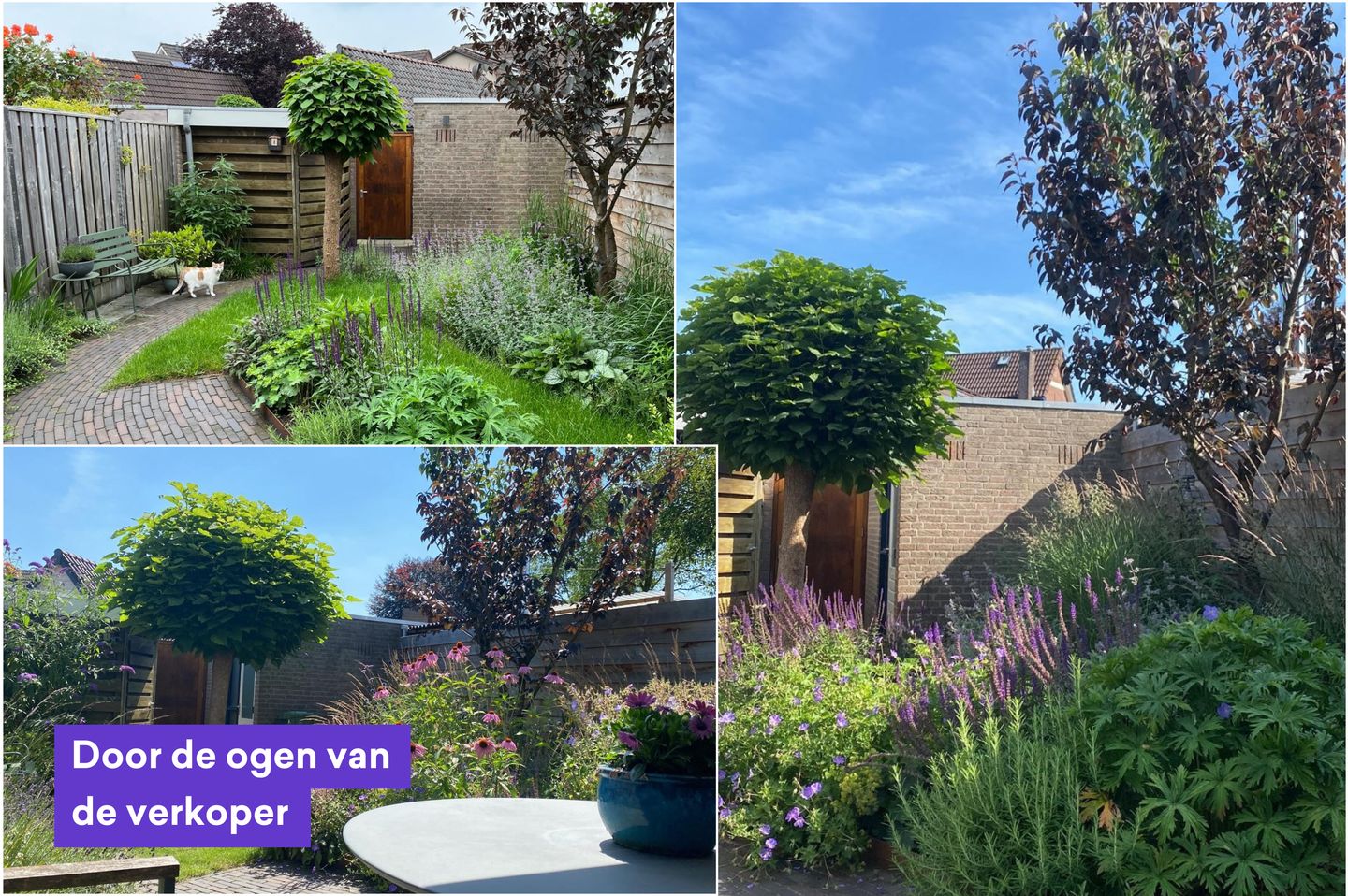 Brown and Beige Classic Fall Collage Instagram Story (1920 x 1080 px).png