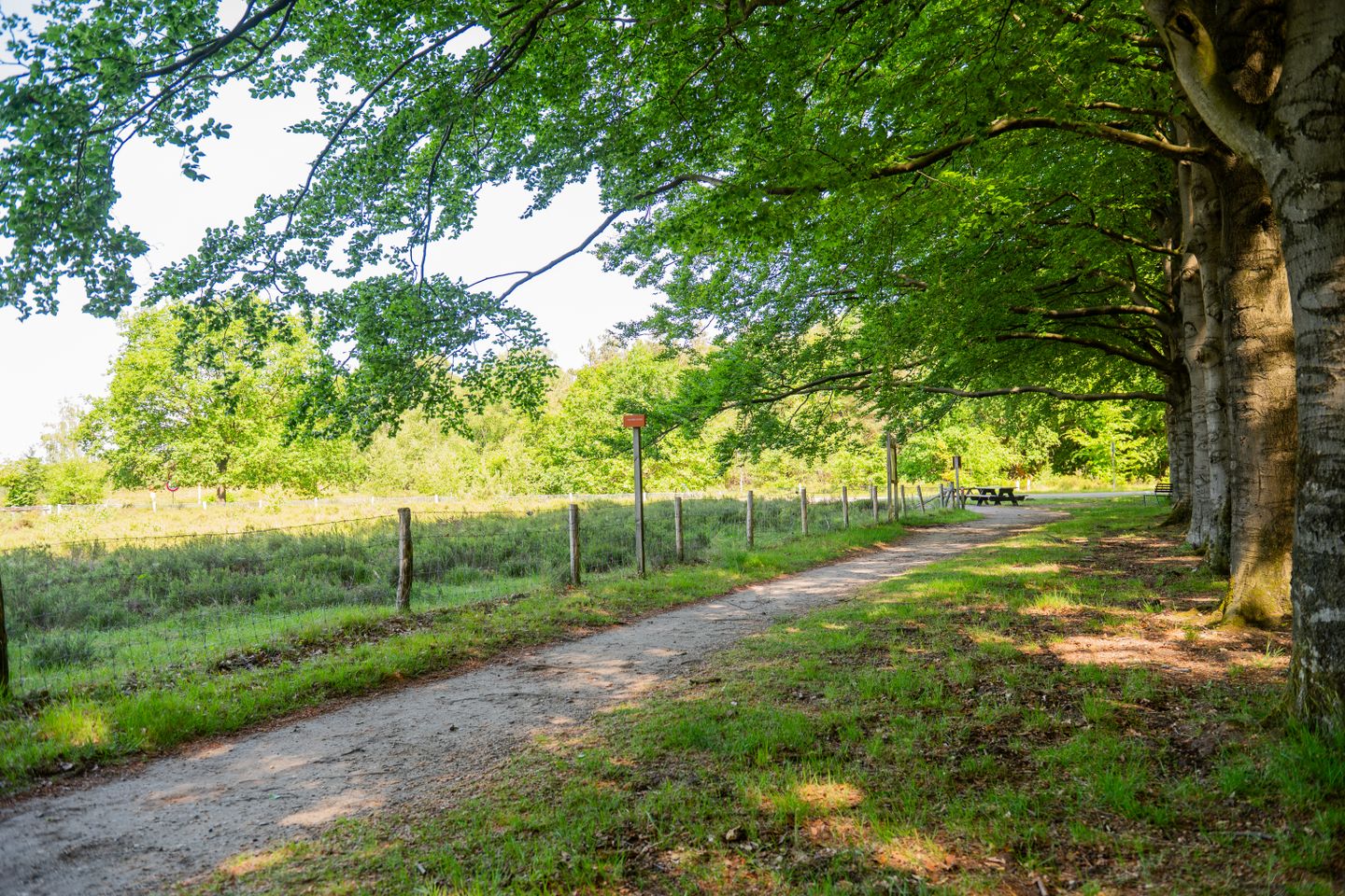 De Oude Klarenbeek 5 in Ugchelen - foto 79