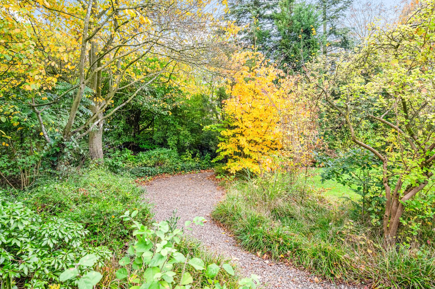 Hulle 1 Deventer 50.jpg