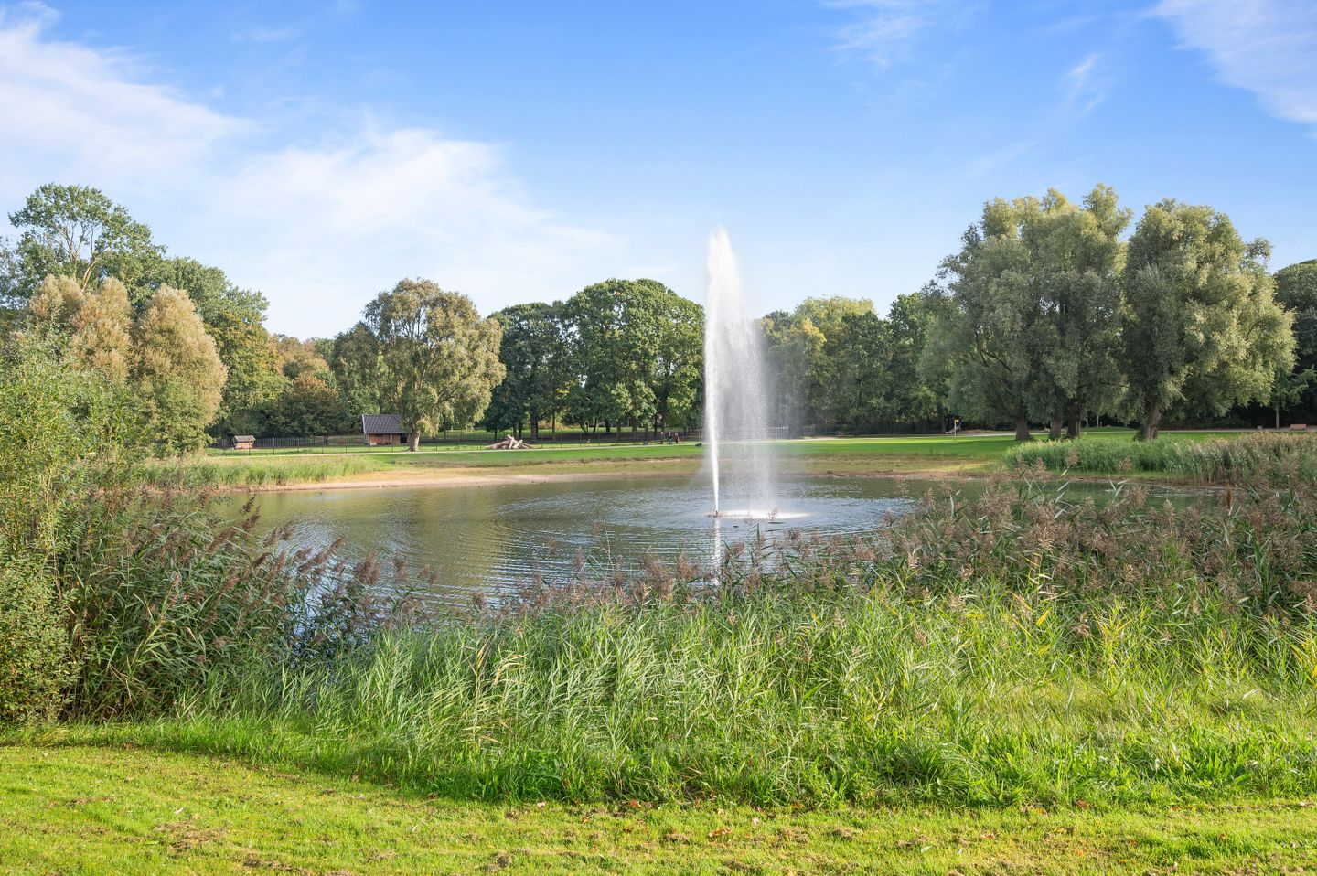 Diepenveenseweg 170 in Deventer - foto 45