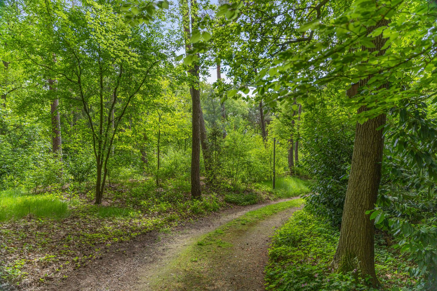 buiten-14.jpg