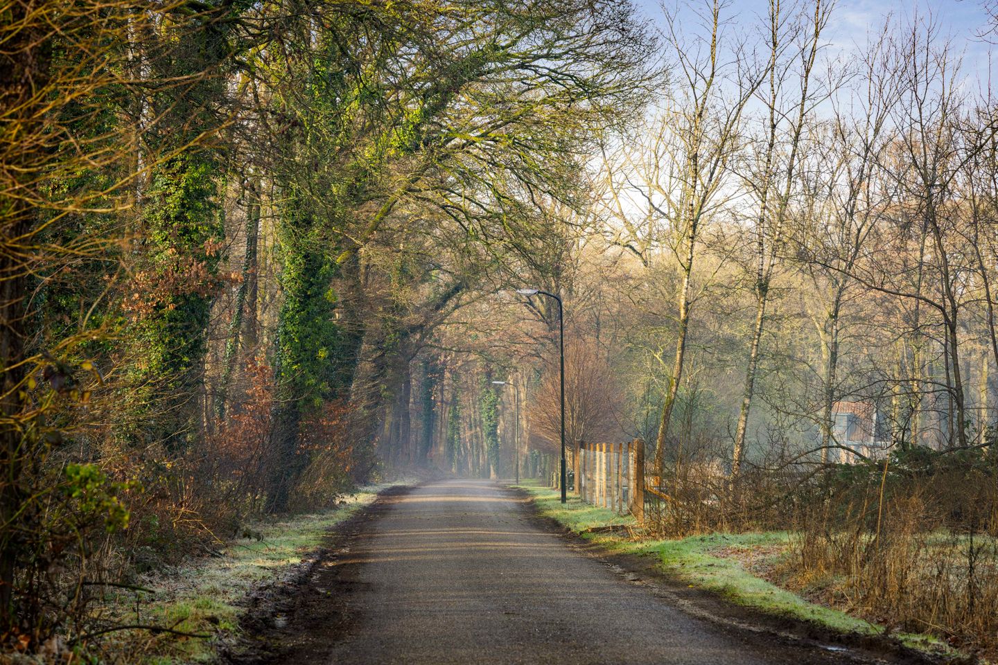 buiten-19.jpg