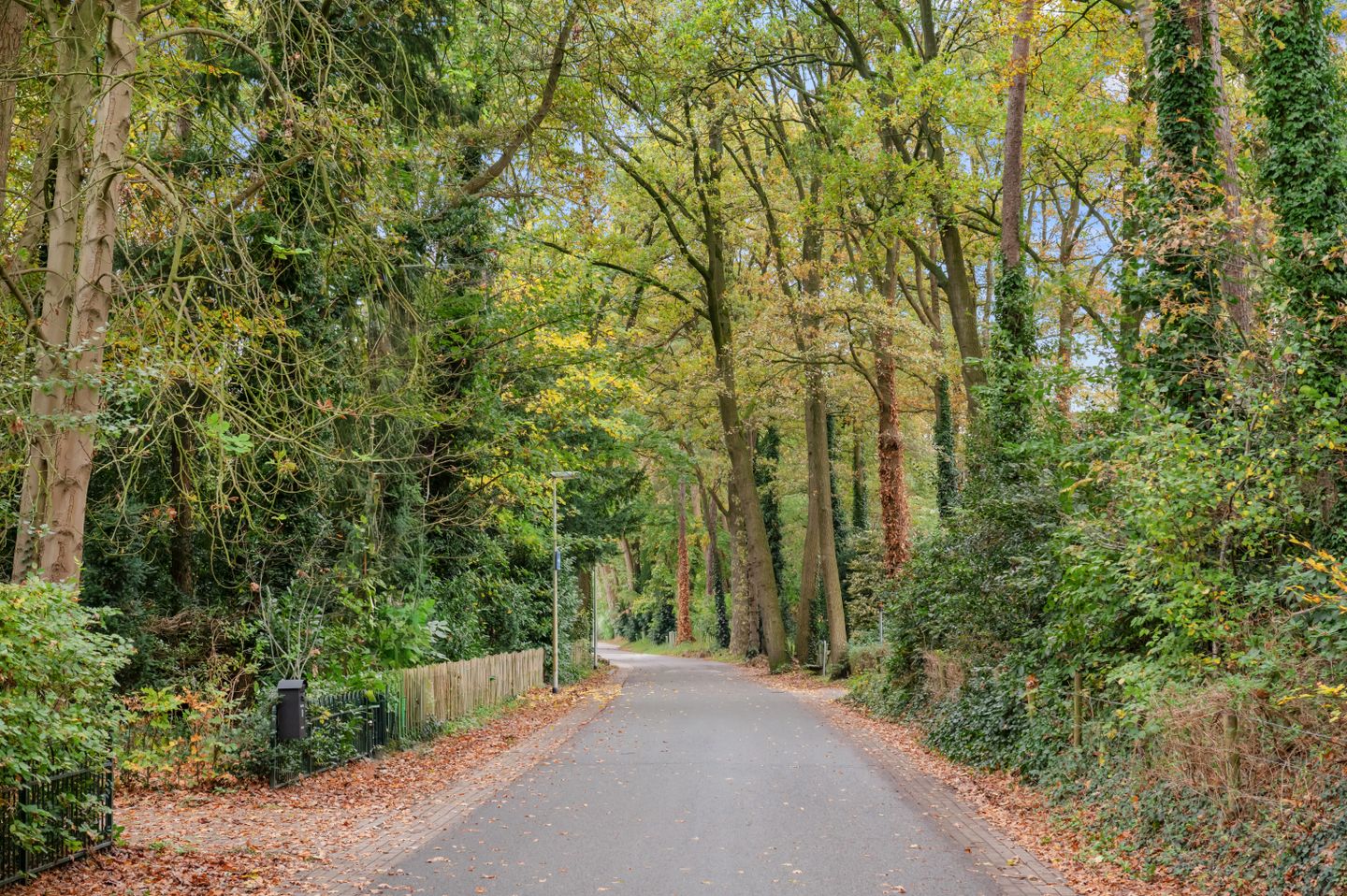 Bronsinklaan 91 Deventer 38.jpg