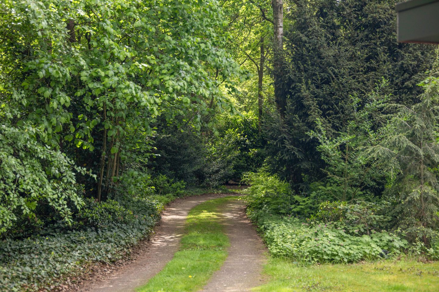 buiten-3.jpg