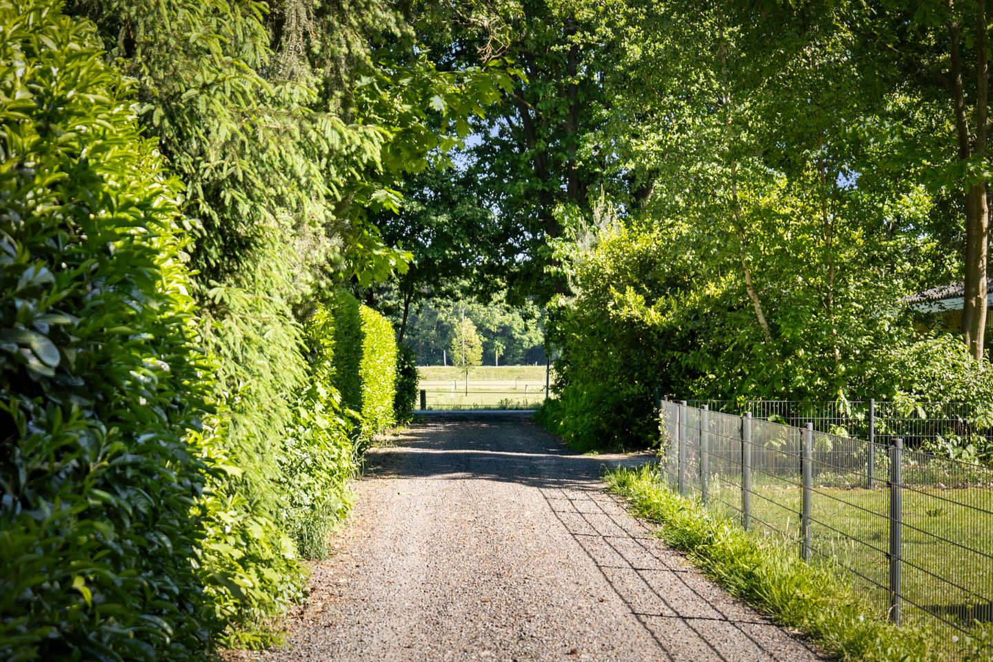 buiten-20.jpg