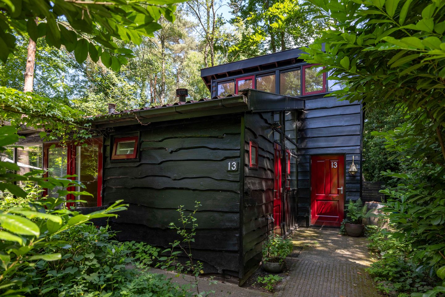 nieuw bos.jpg