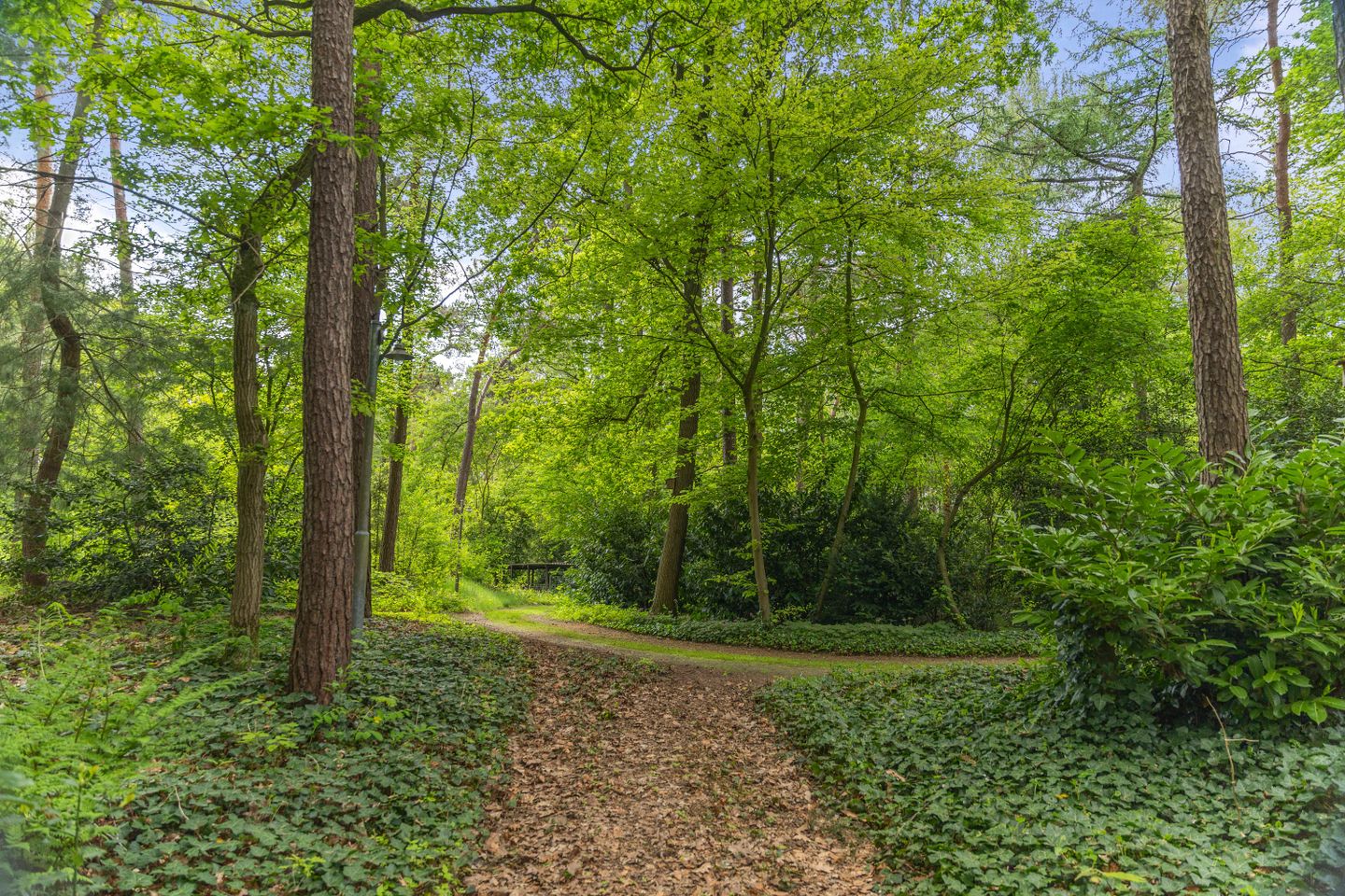 buiten-12.jpg