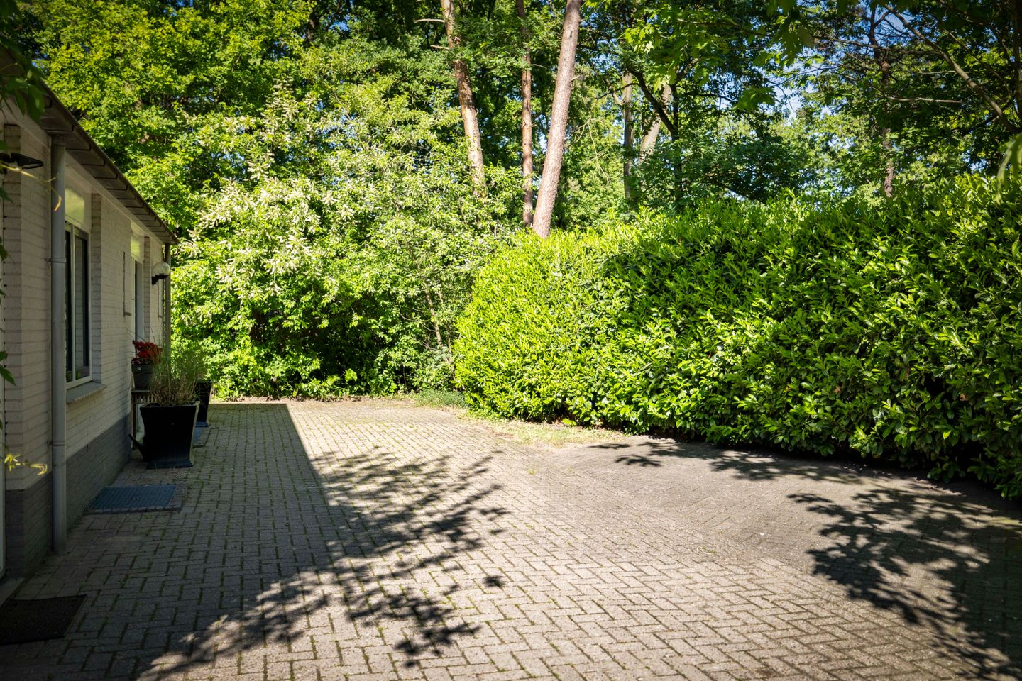 buiten-22.jpg